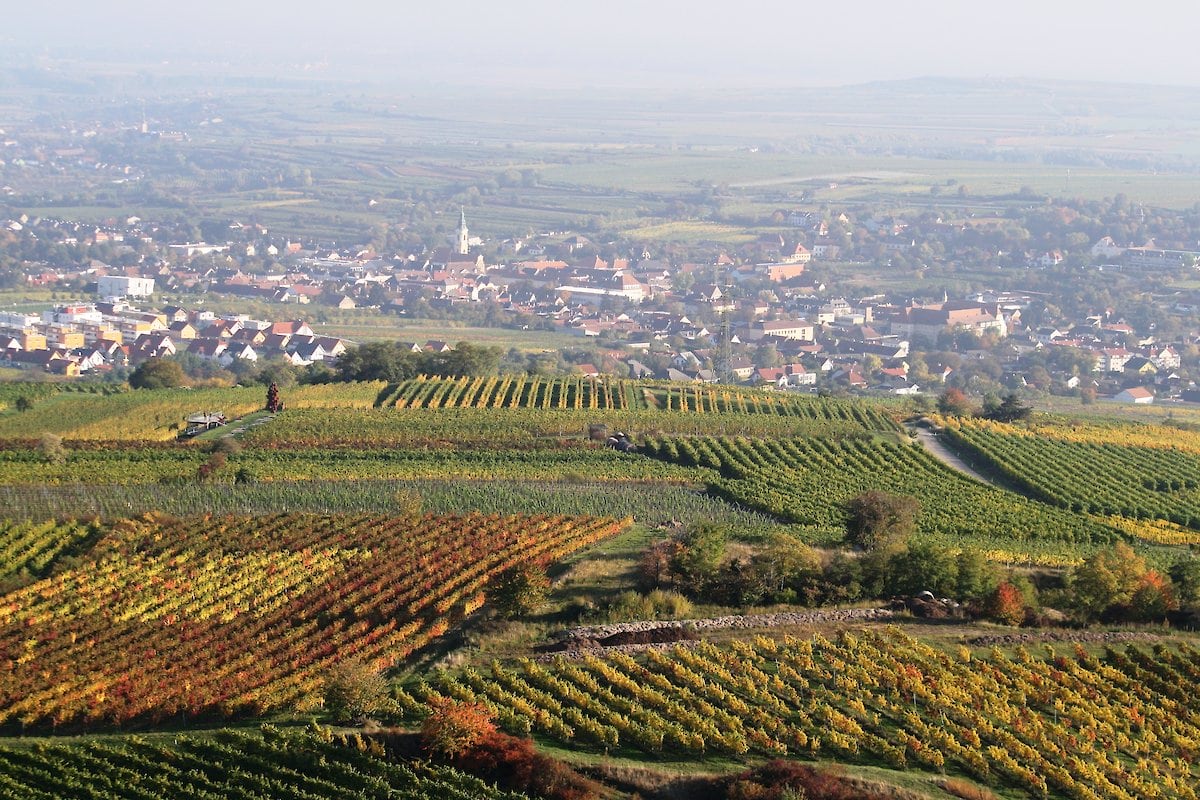 Ried Käferberg — Weingut Bründlmayer
